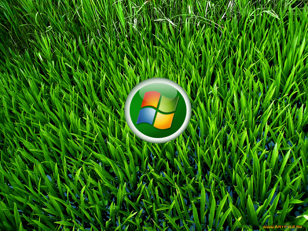 , windows, xp